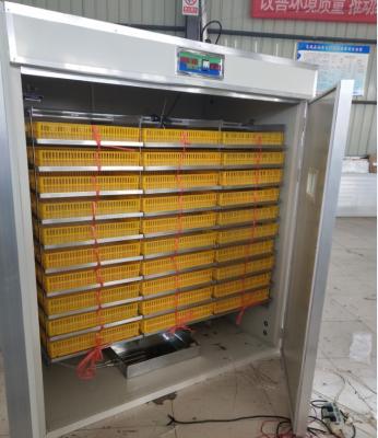 China Hot-selling solar farms CE certificate chicken quail egg incubator for sale for sale