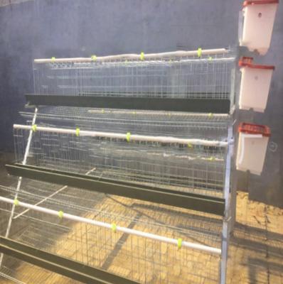 China Durable Poultry One Type 4 Tier 160 Bird Poultry Farm Galvanized Battery Chicken Layer Cages for sale