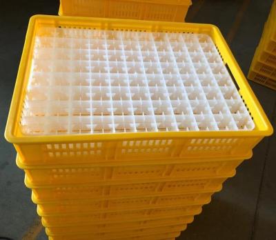 China Chicken transport box yellow color hatch box chick transport box for egg incubator use for sale