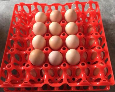 China Good Quality Eco - Friendly 30 Holes Transport Packaging Grade Plastic Egg Tray for sale