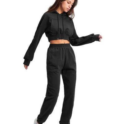 China Anti-wrinkle spring women sweatpants and casual single hoodie sets women hoodies crop top for sale