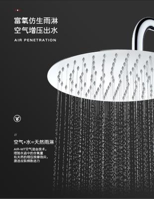 China Without Switch China Supplier Modern Design Pivot Shower Accessories for sale