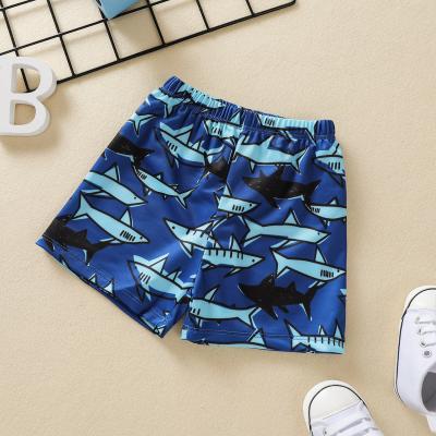 China Color Fade Proof Baby Children Summer Fashion Polyester Cotton Shark Cartoon Print Beach Pants Short Boys for sale