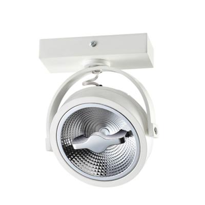 China Industrial High Quality AR111 12W 15W 24W 30W LED Ceiling Light Dimmable Outdoor Wall Mounted Adjustable Light for sale