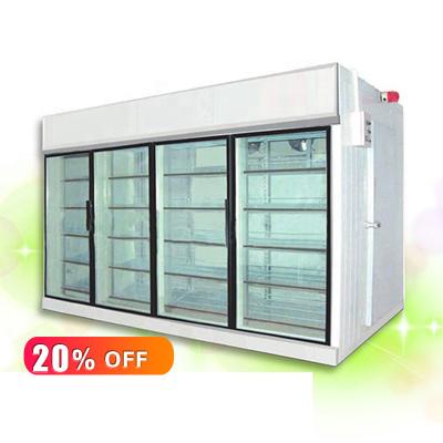 China Frozen food display cold room and storage supermarket commercial glass door display for sale