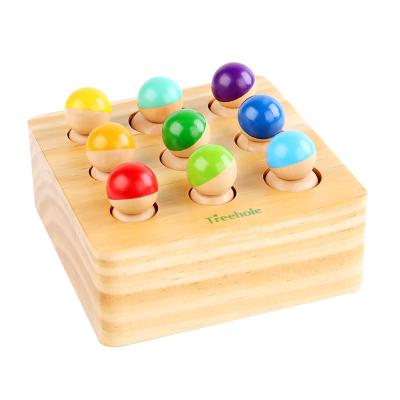 China Educational Toy Wooden Montessori Grip Thug Cylinder Hand-Eye Coordination Training for sale