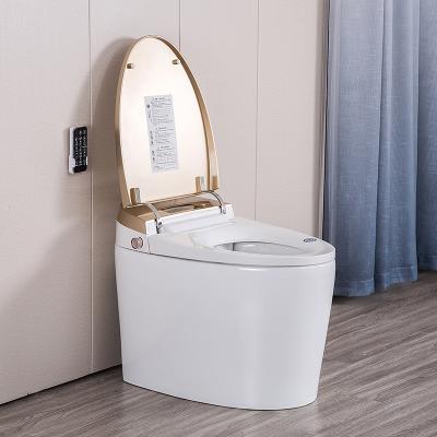 China Automatic Operation Western Style Self Flushing Automatic Toilet , Bathroom Seat Smart Passionate Smart Electric Toilet for sale