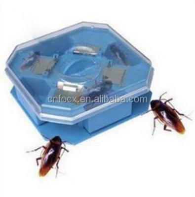 China New Viable Kitchen Cockroach Catcher / Cockroach Trap / Cockroach Insert Killer for sale