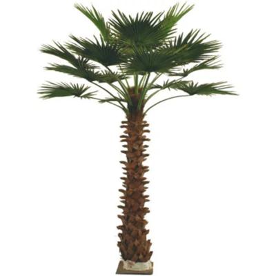 China High Quality Environmental Friendly Artificial Green Decorative Plastic Palm Tree Artificial Palm Tree For Sale for sale