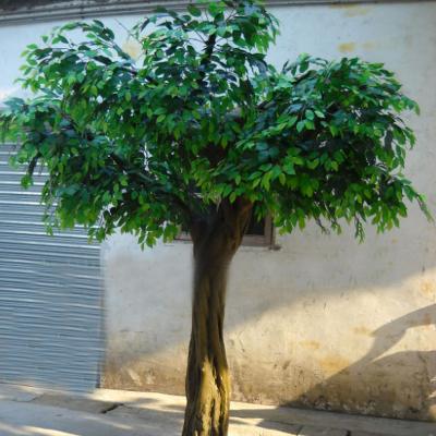 China China Contemporary Plant Large Artificial Tree For Home Decoration for sale