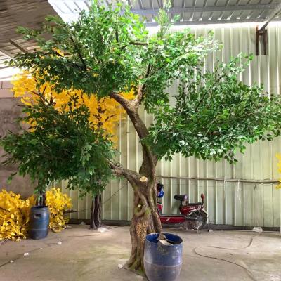 China Environmental Friendly Artificial Plant Polyscias Landscaping Cheap Simulation Ficus Tree Artificial Large Banyan Trees for sale