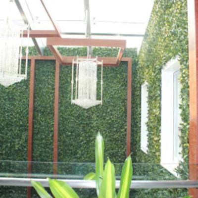 China Wholesale Eco-Friendly Decorative Green Artificial Grass Hedge Boxwood Plant Wall Plant Wall For Outdoor Event for sale