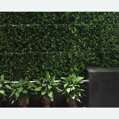 China Contemporary Popular Artificial Green Plants Walls Artificial Grass For Door Walls for sale