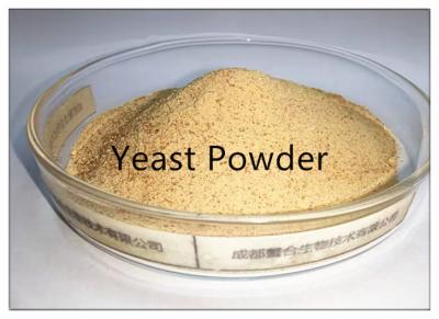 China Feed Additive Yeast Powder With Light Yellow Powder for sale