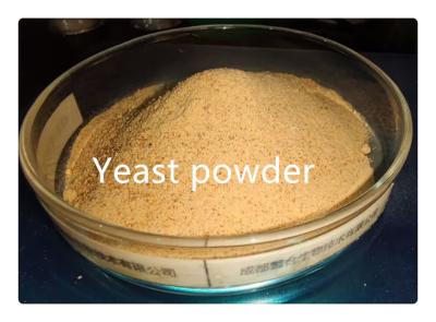 China Animal Feed Grade Dried Brewer Fodder Yeast Powder for sale