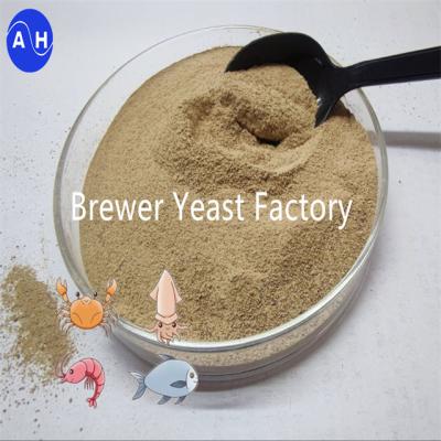 China High Activity Brewer Yeast with Saccharomyces Cerevisiae for Digestive Health for Farmed Animals for sale