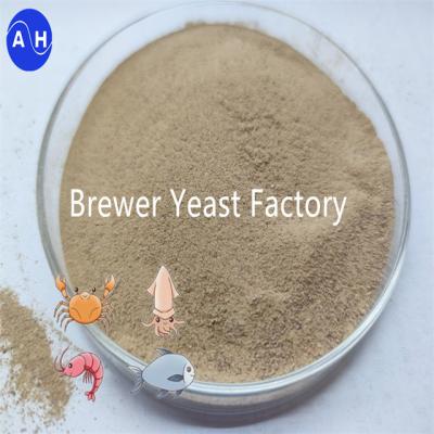 China Dried Brewer'S Yeast Powder Protein Supplement For Poultry And Livestock Feed for sale