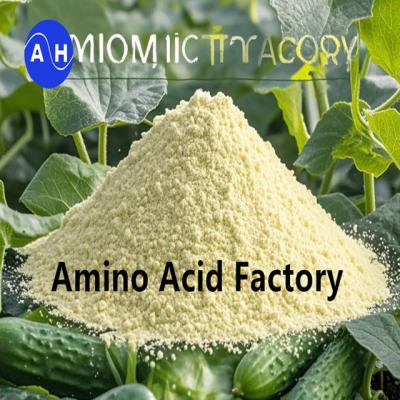 China Enhance Nutrient Absorption And Stress Resistance With Amino Acid Plus Foliar Fertilizer for sale