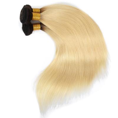 China Raw Indian Hair Color Silky Straight Hair Bundles 1B/613 Ombre Wave Apple Girl Factory Price Virgin Silky Straight Cuticle Aligned Hair Bundle for sale