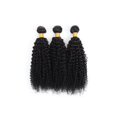 China Hot Sale 10A Curly Curly Virgin Hair Extensions Mongolian Remy Hair Weave Bundles Apple Hair Extensions Mongolian Girl for sale