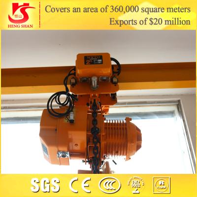 China New Design High Quality Electric Chain Hoist for sale