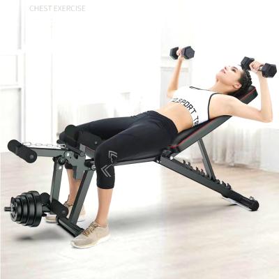 China ZJFIT Multifunctional Gym Rack Customized Gym Equipment Weight Training Folding Commercial Gym Weight Bench With Leg Extender for sale