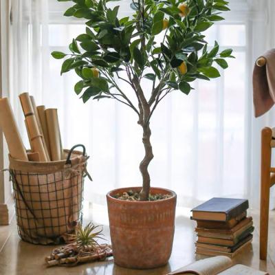 China Home Plant Rustic Indoor Outdoor Decorative Clay Pot Customized Shape Succulent Planter Tree Terracota Potted Flower Pots for sale