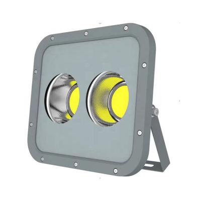 China Garden Industry High Quality Outdoor Waterproof Aluminum 100w Led Flood Light for sale