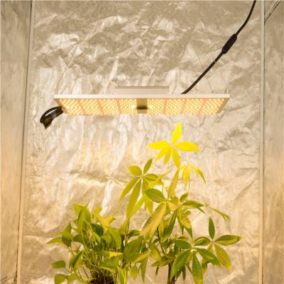 China Garden Shleme 240w Grow Light LED Driver Dimmable Indoor Plant Samsung Lm301B Lm301H MW Grow LED Light for sale