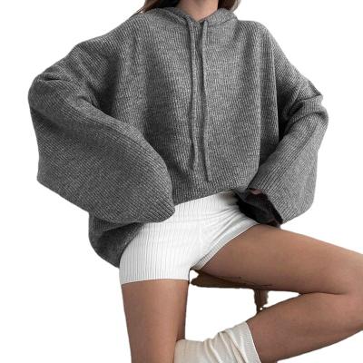 China Anti-Wrinkle Autumn Winter Fashion Oversized Sweaters Slim Loose Casual Long Sleeved Plus Size Women Hooded Sweater for sale