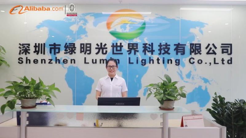 Verified China supplier - Shenzhen Lumin Lighting Co., Ltd.