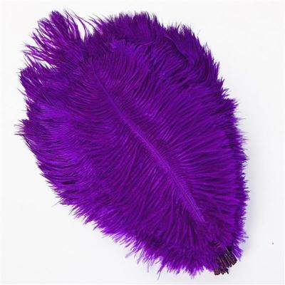 China Handmade wholesale handmade 15-70cm all kinds of color ostrich feather wedding holiday party decoration material for sale