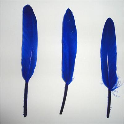 China Wholesale high quality handmade dark blue duck/goose feather for sale for sale