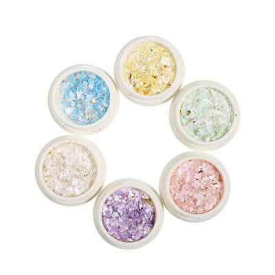 China Nail accossories new style 6 boxes mixed 3D flower glitter holographic sequin decals mixed for nail art decoration cell phone case jewel for sale