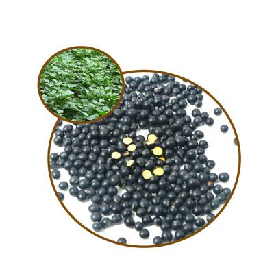 China Large Number Wholesale High Quality Organic Black Beans Dried Black Kidney Beans for sale