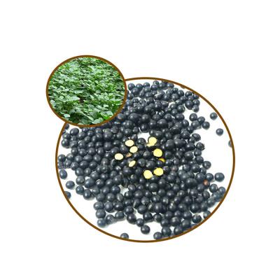 China Dried dried black beans with green flesh for export in bulk price and good, grown and processed on organic process for sale