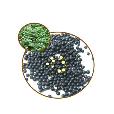 China New Culture Dried Original Black Bean With Black Soybean For China Export for sale