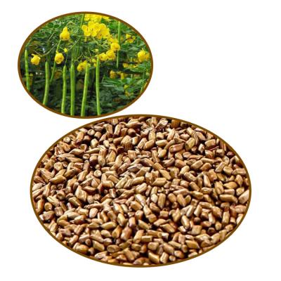 China Cassia Seeds China Premium Roasted Cassia Seed Tea 24 Months Shelf Life RXJMZ-001 for sale