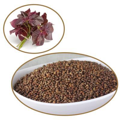 China perilla seed, original Korean traditional condiment flavor 2mm Perilla seed RXSZ-001 for sale