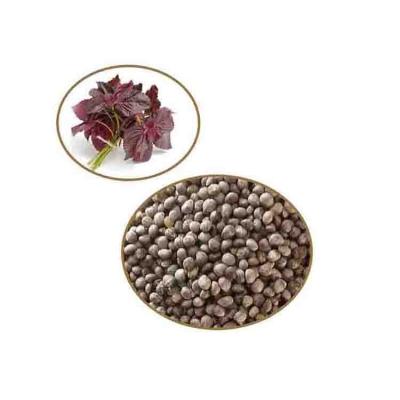 China Wholesale New Goods Perilla Seed Northwest China Perilla Seeds RXSZ-001 for sale