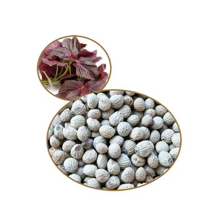 China Sell ​​Good Price High Quality Perilla Seed Raw Organic Perilla Seeds RXSZ-001 for sale