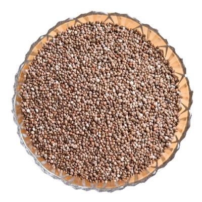 China China Manufacture Perilla Seeds High Content Perilla Dry Seeds Press Or Stuff Spices Bulk Wholesale RXSZ-001 for sale