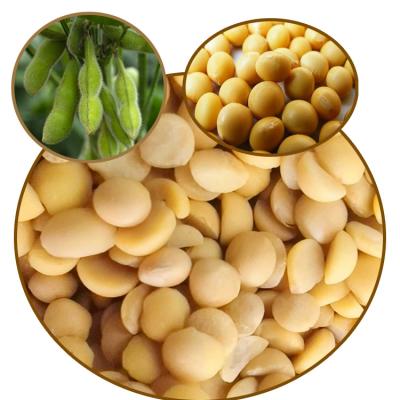 China Dried Manufacturer Provides Non GM Roasted Peeled Soybeans and Northeast Soybeans Peeled for sale