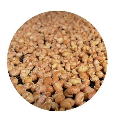 China Export Dry GM Non Cooked Soybeans, Baked Soybeans and Steamed Soybeans Raw Materials in Northeast China for sale