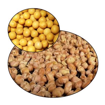 China Dry Flavor Cooked Soybeans Steamed Soybeans Snack is Rich In Nutrition Fried Beans for sale