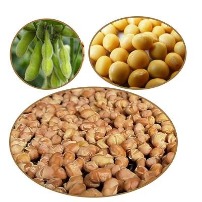 China China Factory Good Quality Non GMO Soy Dried Organic Soy Rich In Protein for sale