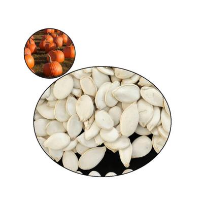 China Raw and Dried Pumpkin Seed Hot Sale Dried Pumpkin Seeds For Sale for sale