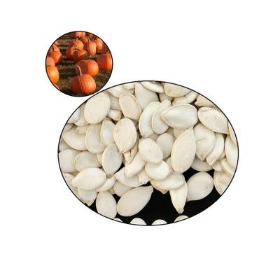 China Factory Supply Raw And Dry Raw Cured Top Grade Non GMO Pumpkin Kernels Seeds for sale