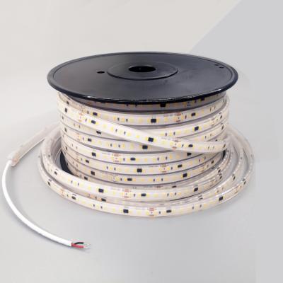 China Best Hotel Quality 10m 20M 50M 100M 110V 220V 120 Ledm 2835 Waterproof Ip68 Led Rope Light Strip for sale