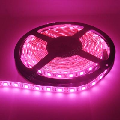 China Hotel Pink LED Strip Light Led Strip Flexible 12v Led Spotlight Led Light For Decoration for sale